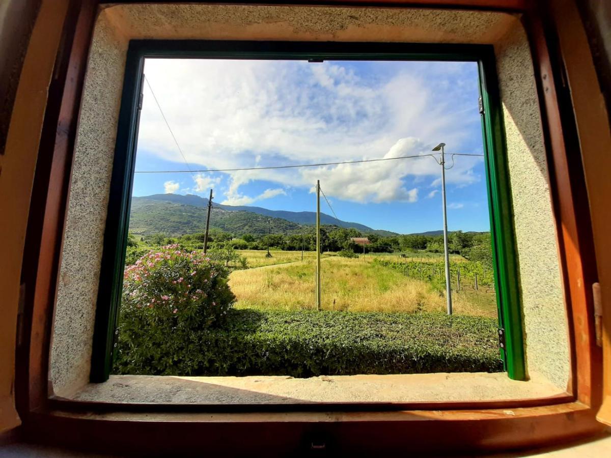 Villa Very II Marina di Campo Dış mekan fotoğraf